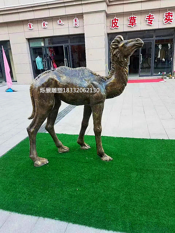 �q���T�~����������S(ch��ng)�ң�ɽ�|���_(t��i)�~�����